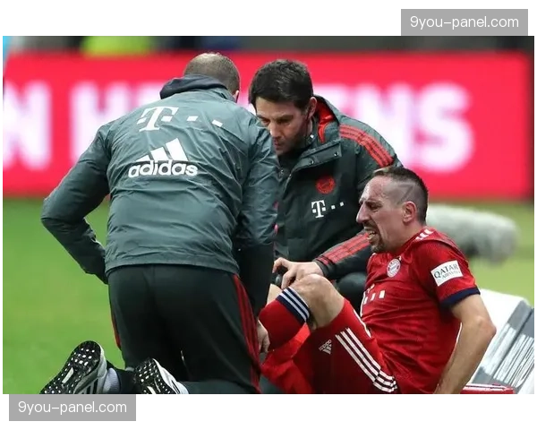 德甲俱乐部社区公益报告：年度参与项目超千个